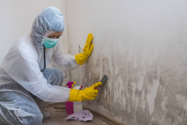 Mold Remediation for Vacation Homes in George West, TX