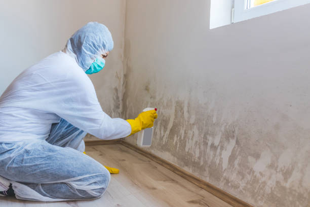 Forensic Mold Investigation in George West, TX